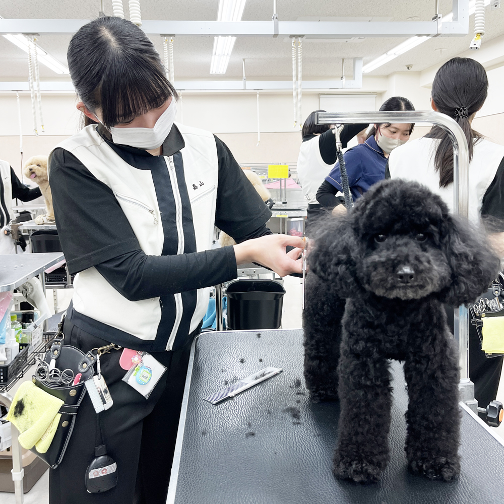 新２年生のトリミング実習！